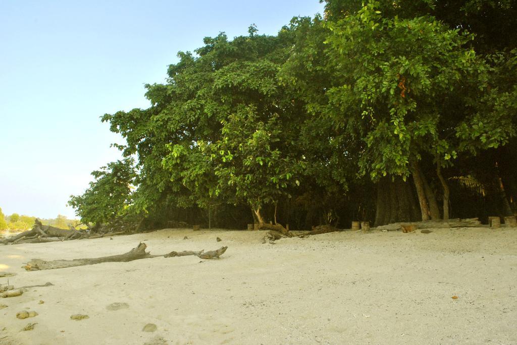 Sea Shell Neil Hotel Lakshmanpur Exterior photo